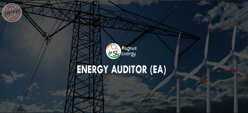 Energy Auditor (EA)